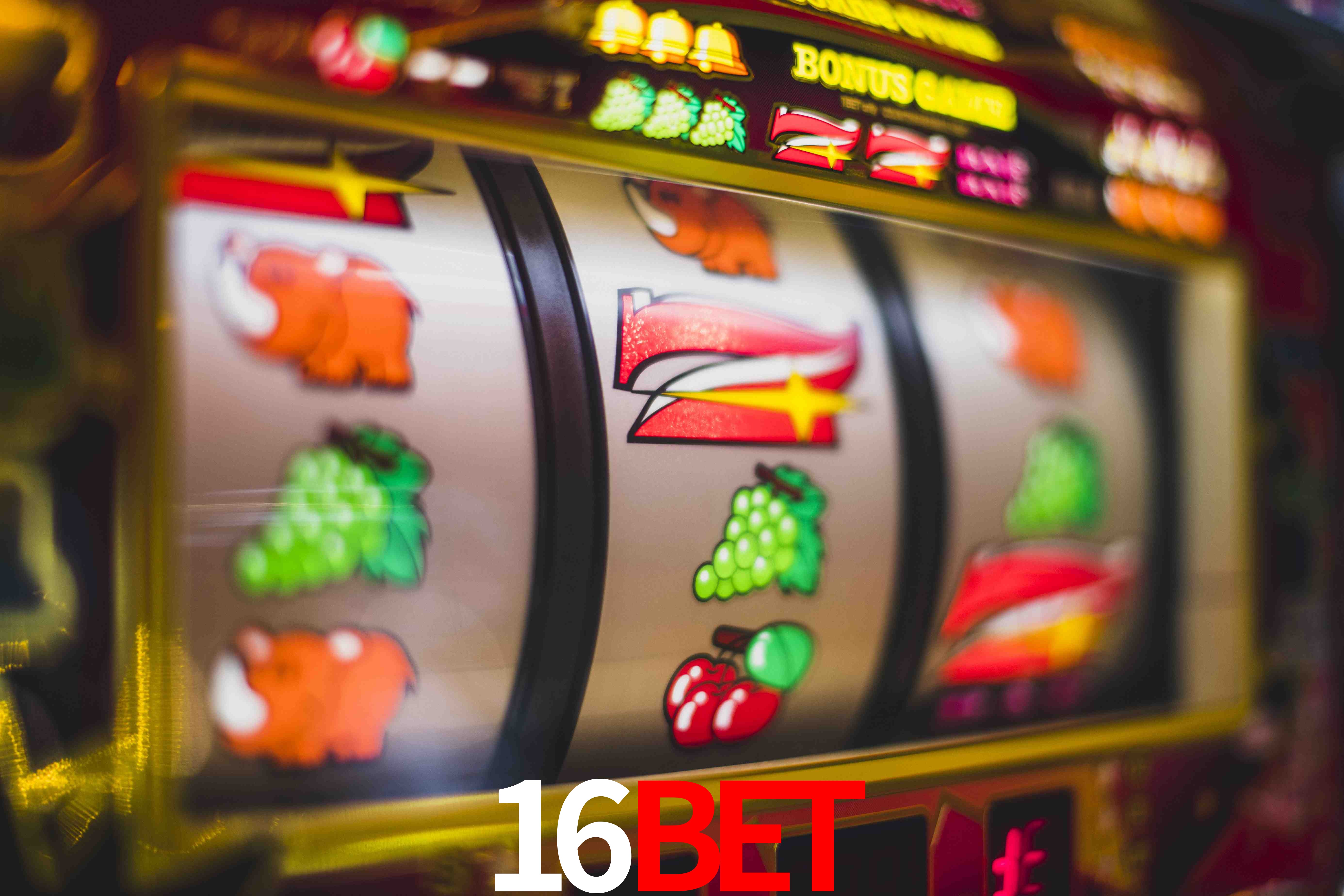 Football Betting 16bet