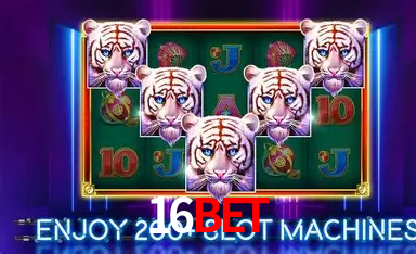 16bet cadastro — verificação de conta e PIX no caixa